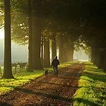 De Abdij 호텔 Horn