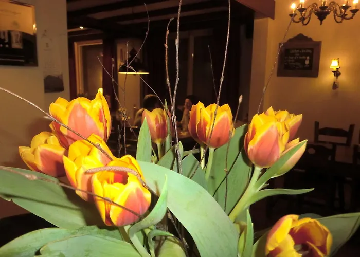 De Abdij Отель 3*